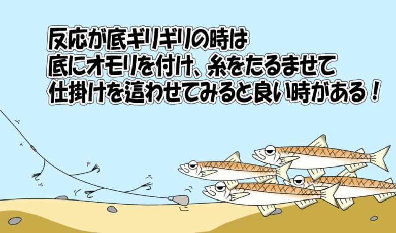 徹底解説 芦ノ湖ワカサギ釣りに必要な道具と釣り方の基本 まるなか大衆鮮魚