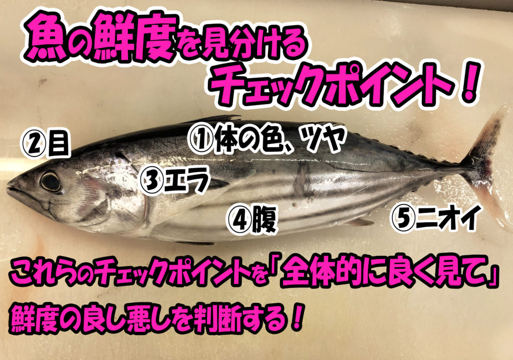 魚の鮮度 見分け方の基礎基本を徹底解説！ | まるなか大衆鮮魚