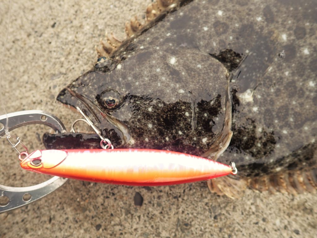 ヒラメ・マゴチ用シンキングペンシルの選び方・おすすめアイテムはコレ！【実釣比較】 | まるなか大衆鮮魚