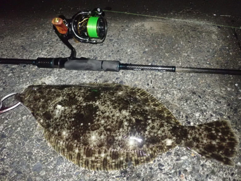 20ツインパワー　釣果