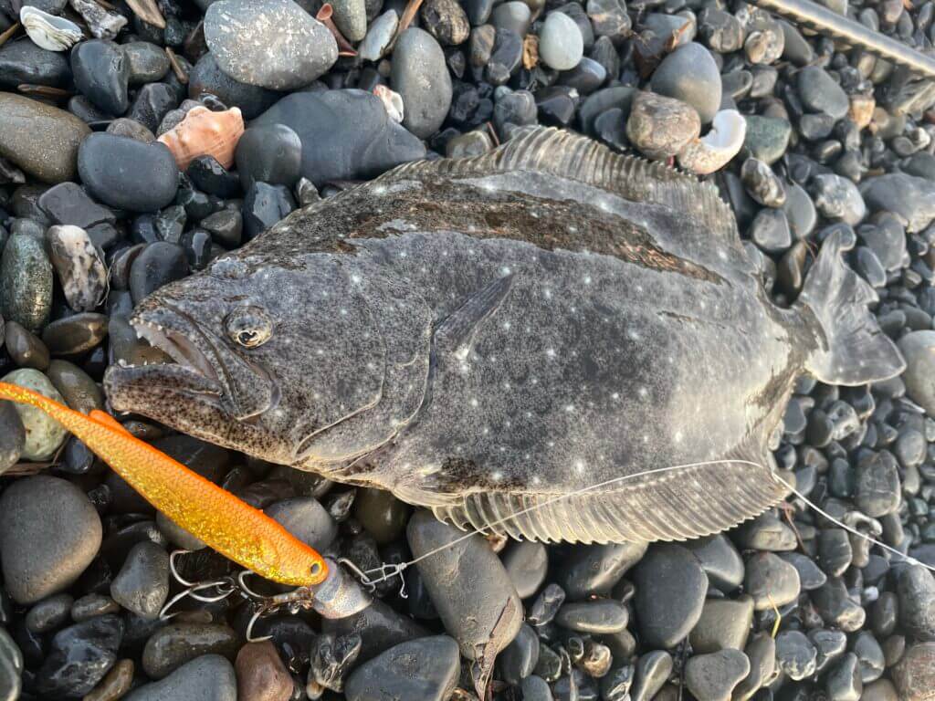 851A7854-443D-4277-ADF2-