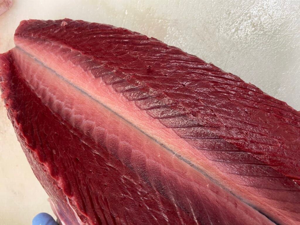 餌を腹いっぱい食べている魚は脂が乗っているのか 魚屋が教えます まるなか大衆鮮魚