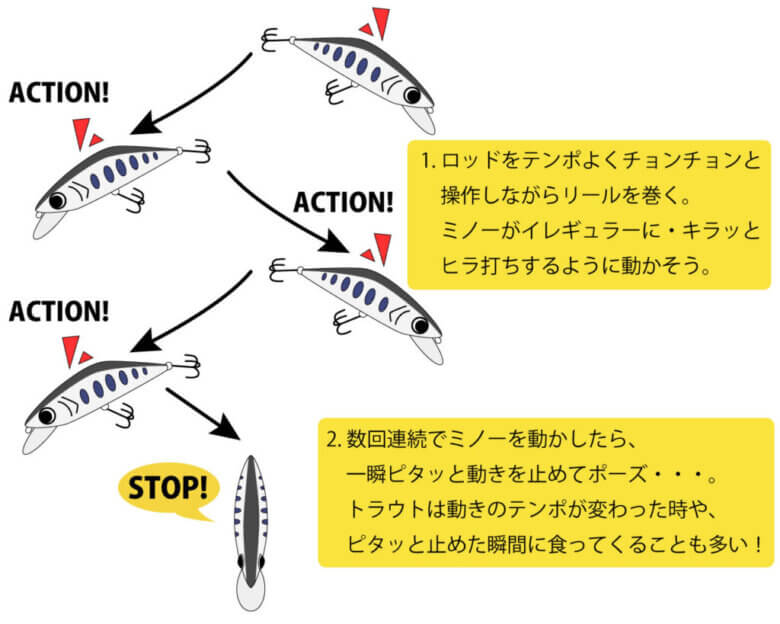 渓流ミノーのおすすめ タックル選びのコツを徹底解説 まるなか大衆鮮魚