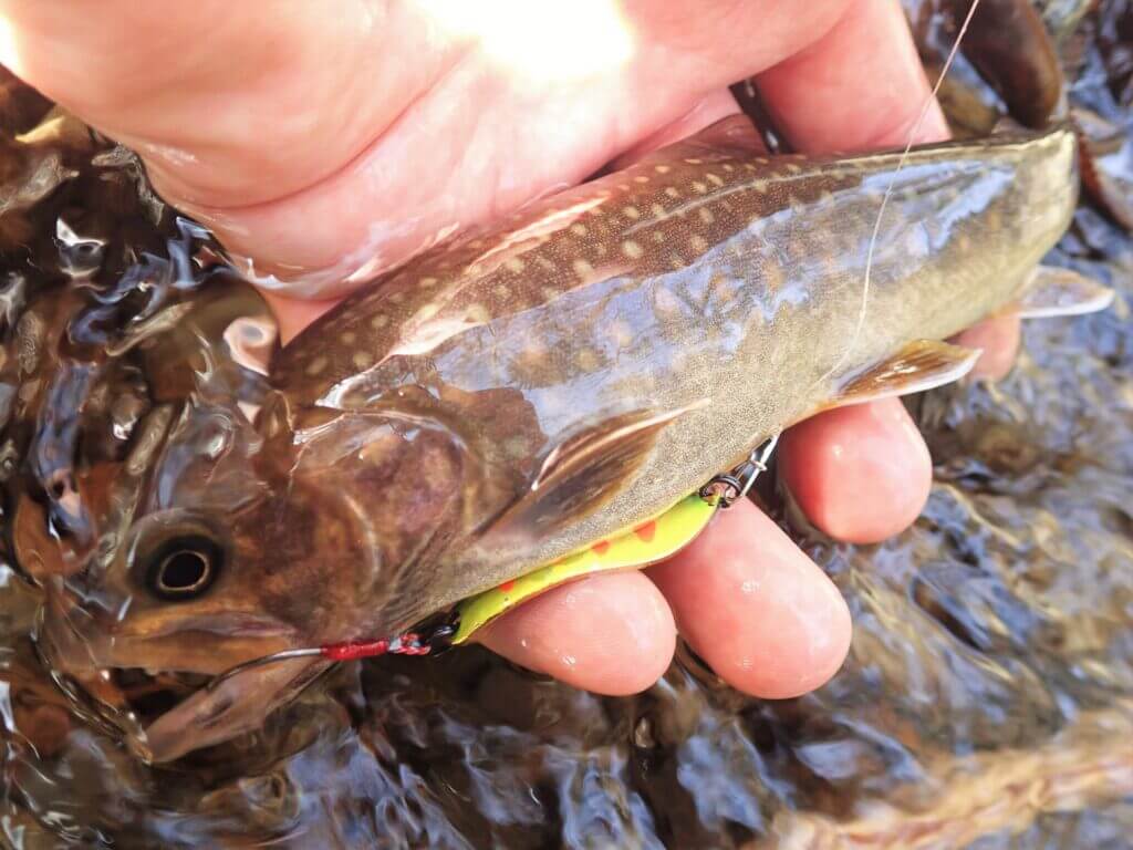 失敗しない 渓流ルアーロッドのおすすめ 選び方を徹底解説 まるなか大衆鮮魚