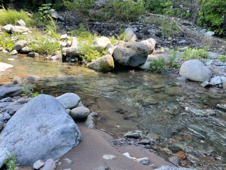 ヤマメ 釣り場