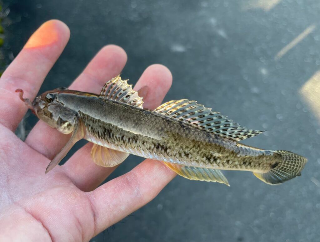 A0EB9F66-E102-40E7-8EE5-