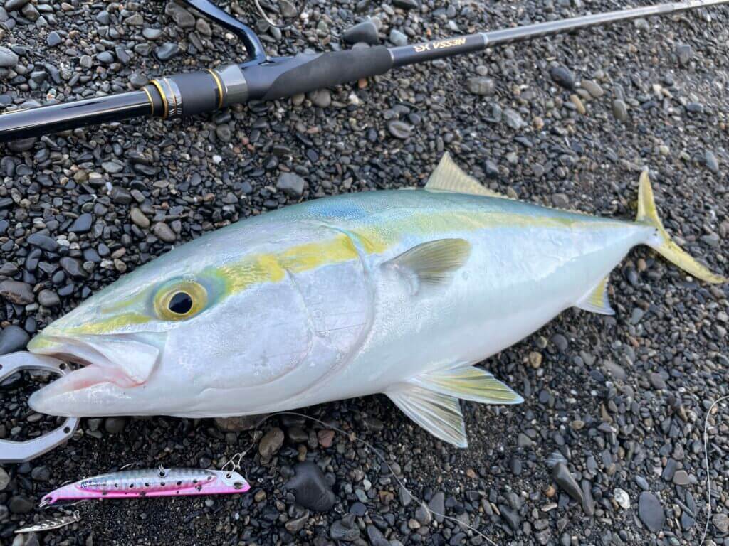 EE85CD93-D5CE-4FDE-83CB-