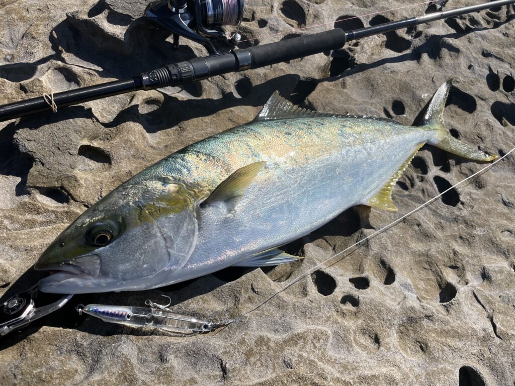 81F496C3-8AA1-46A7-BBF9-