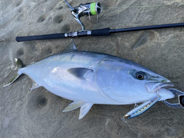 オールウェイク109モンスターフィネスリミテッド　青物　釣果