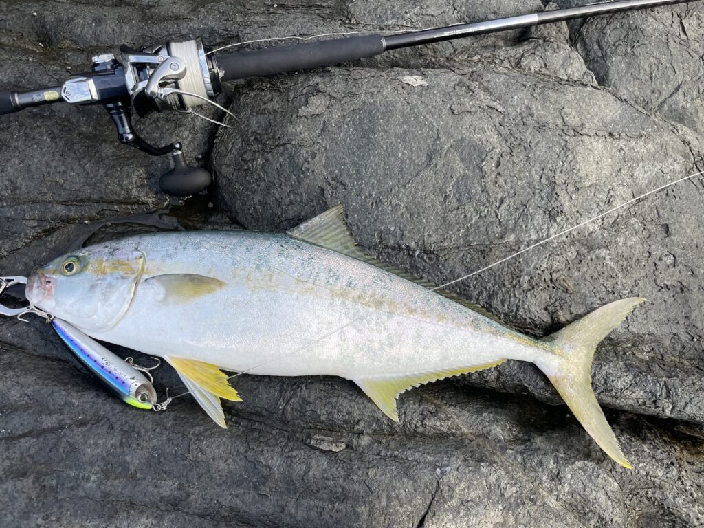 M*a様 磯釣り引退セット M*a様 磯釣り引退セット 2025年最新】釣り引退セットの人気