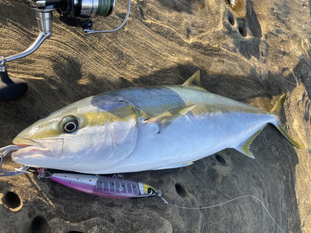 2D995582-9B99-4E3D-849D-