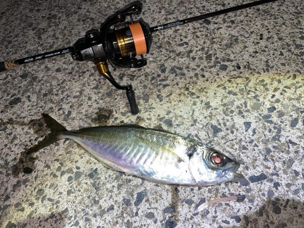 シマノスピニングリール ソアレBB 500S 管釣り アジング 未実釣品