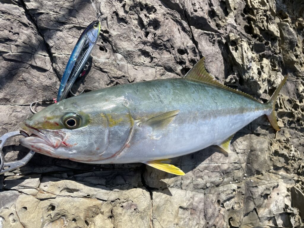 ダイビングペンシルなど 16個 楽天市場】NUMBNER SIX 198F グッドベイト ナンバーシックス 198F