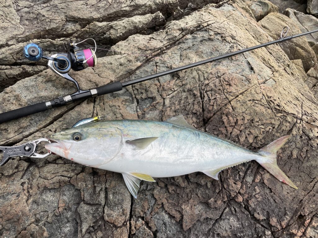 ヒラメ、シーバス、青物ルアー8種 シマノ、ジャンプライズ、ダイワ 等