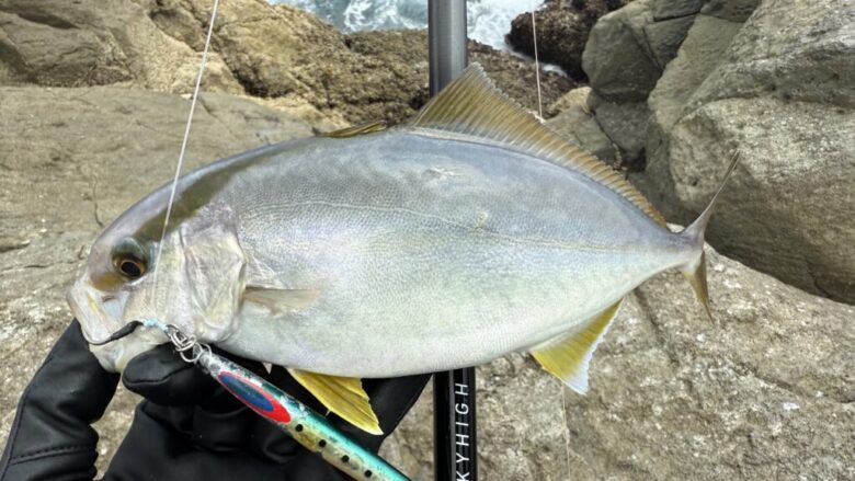 25スカイハイ ショアジギング 釣果