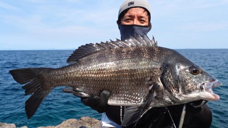 クロスライド3G チヌ 釣果