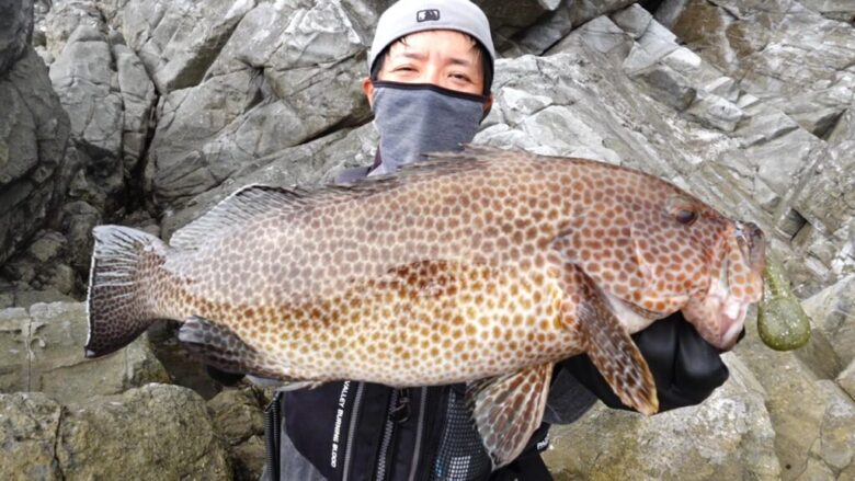 スカイハイ ロックフィッシュ 釣果
