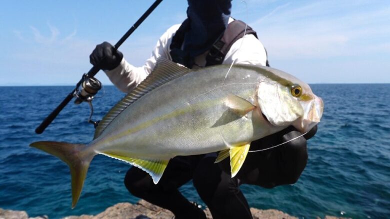 クロスライド3G ショアジギング 釣果