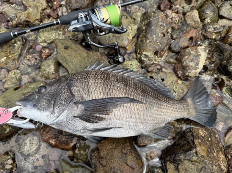 25アルテグラ 釣果