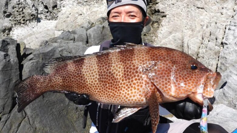 ランカーオオモンハタ サカナサカナスピン