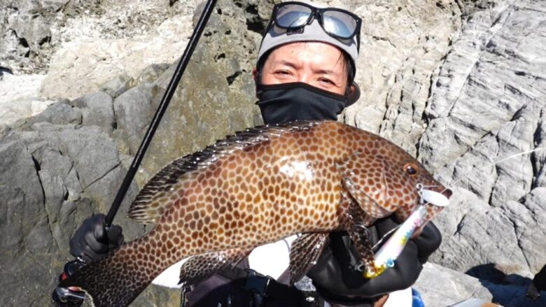 サカナサカナスピンハイスピードチューン 釣果