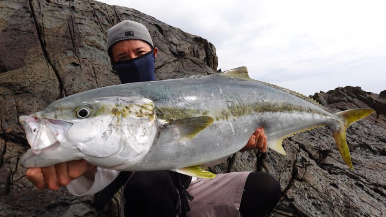 ラッシュダイブ125　ヒラマサ