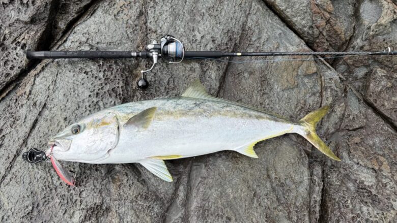 ラッシュダイブ125　ヒラマサ