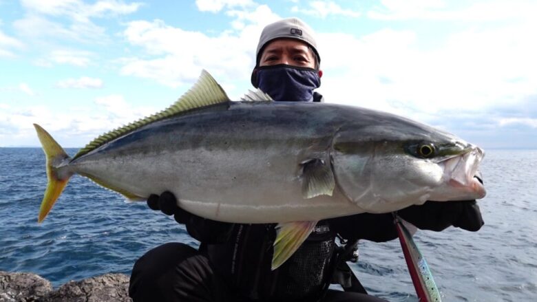 ブルースナイパー ブリ 釣果