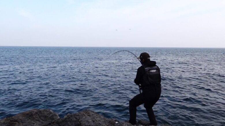 ヒラマサ　ファイトシーン