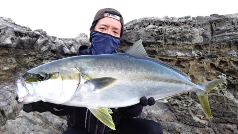 ヒラマサ　釣果