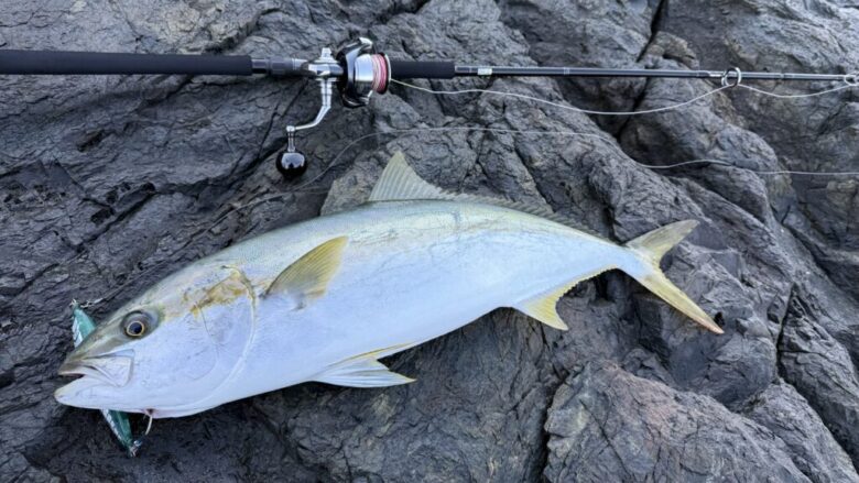 ブルースナイパー ヒラマサ