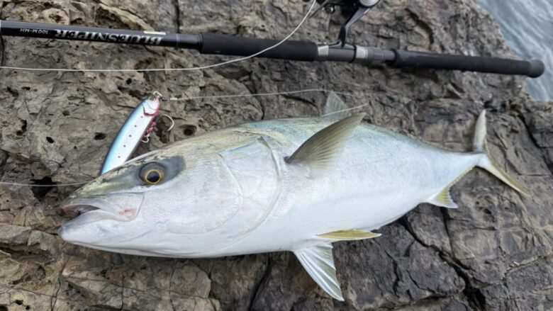 ブルースナイパー ブリ