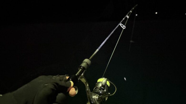 エステルレモニー　視認性