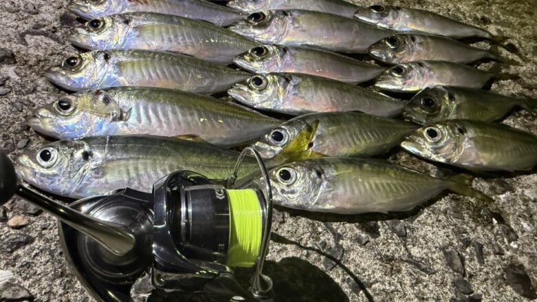 アジングマスターエステルレモニー　インプレ