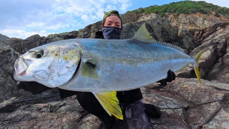 ヒラマサ　10kg　ミュートスアキュラ