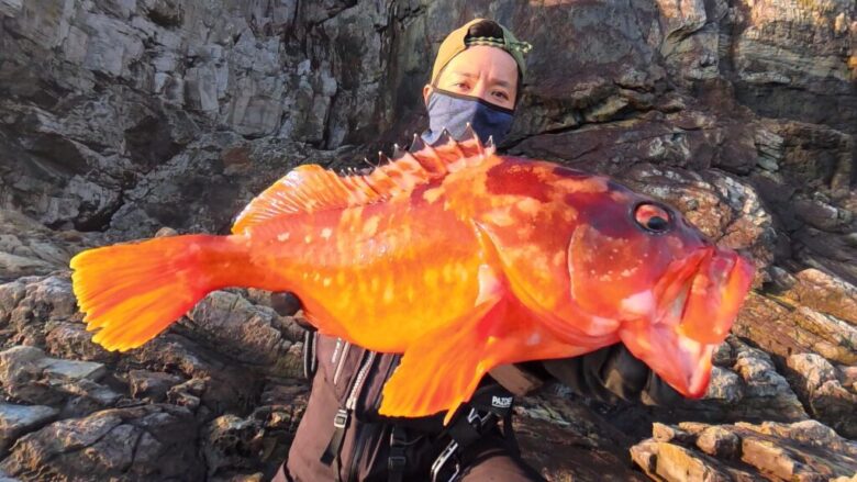 26ルナミス ロックフィッシュ