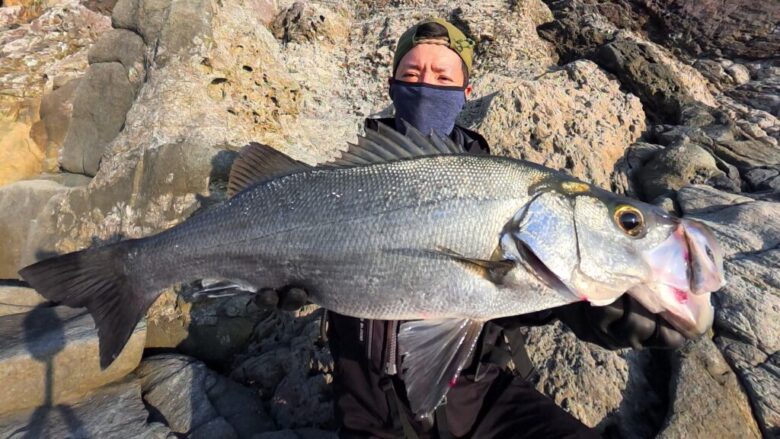 26ルナミス ヒラスズキ