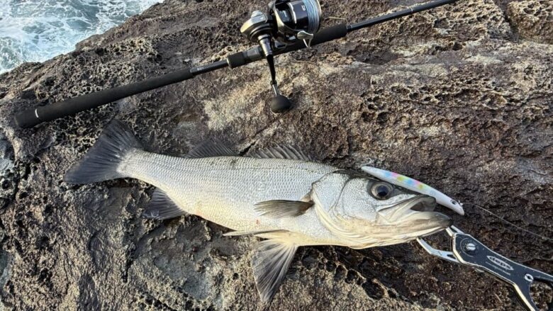クロスライド7G ヒラスズキ 釣果