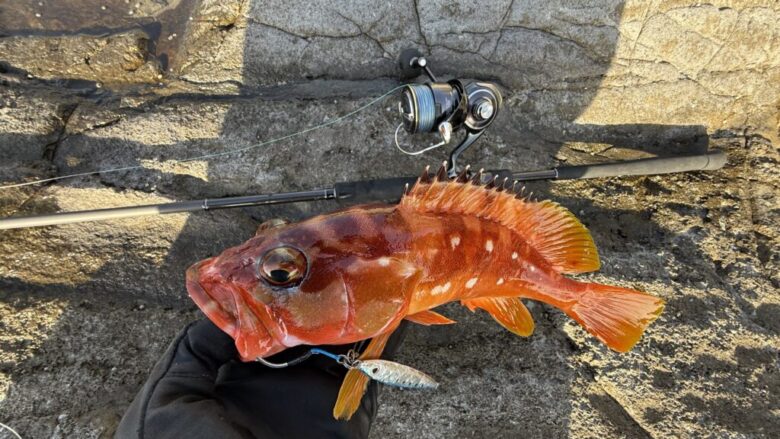 クロスライド7G ロックフィッシュ