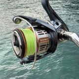 26ナスキー　インプレ