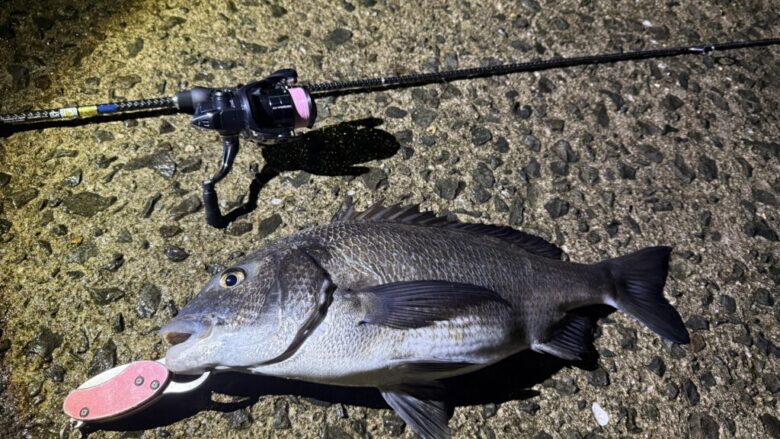 26コルトプロトタイプ 釣果