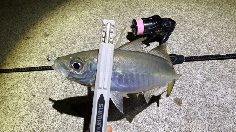 26コルトプロトタイプ アジング 釣果