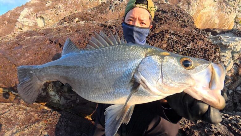 ヒラスズキ クロスライド7G