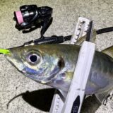 【実釣比較】アジング用おすすめエステルライン・選び方徹底解説！