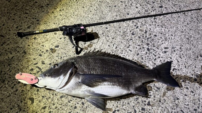 ヴァンキッシュCE　チヌ