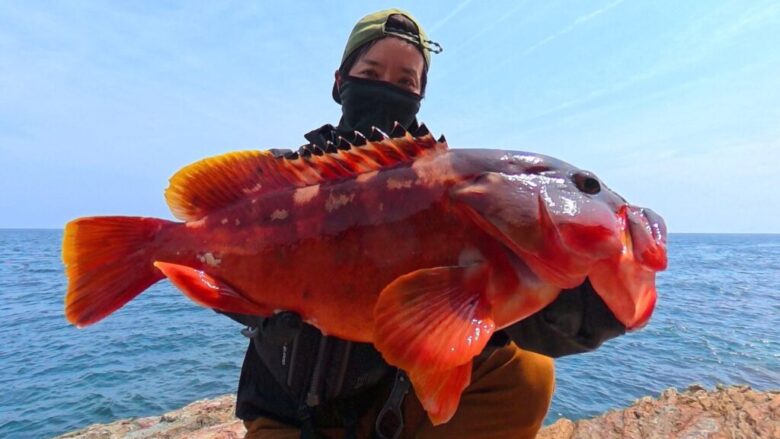 ハードロッカーエクスチューン　アカハタ　釣果