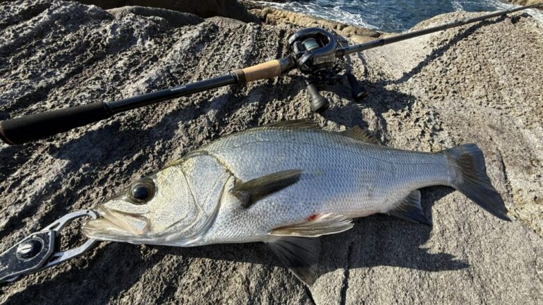 26ハードロッカーエクスチューン　ジグヘッドリグ　ヒラスズキ