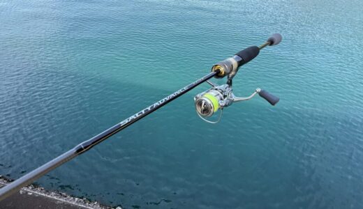 ソルティーアドバンス　アジング　インプレ