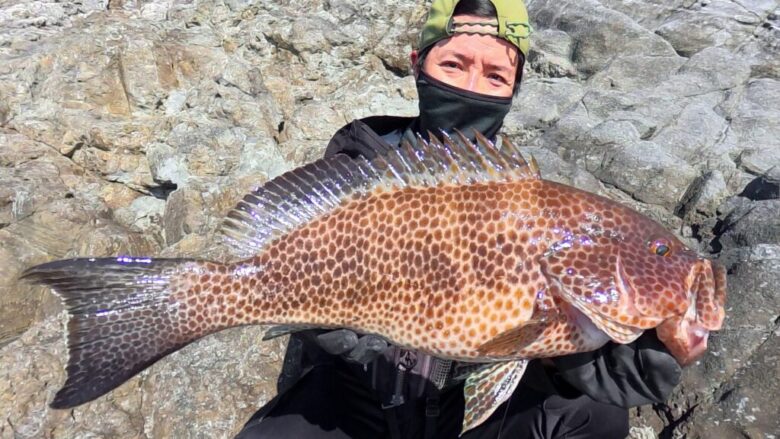 ハードロッカーエクスチューン　オオモンハタ　釣果