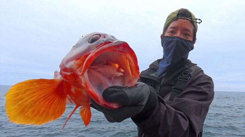 アメイザーX8　アカハタ